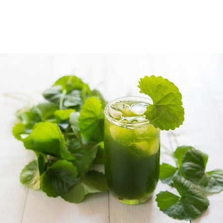 (HỘ KINH DOANH) -90TEA